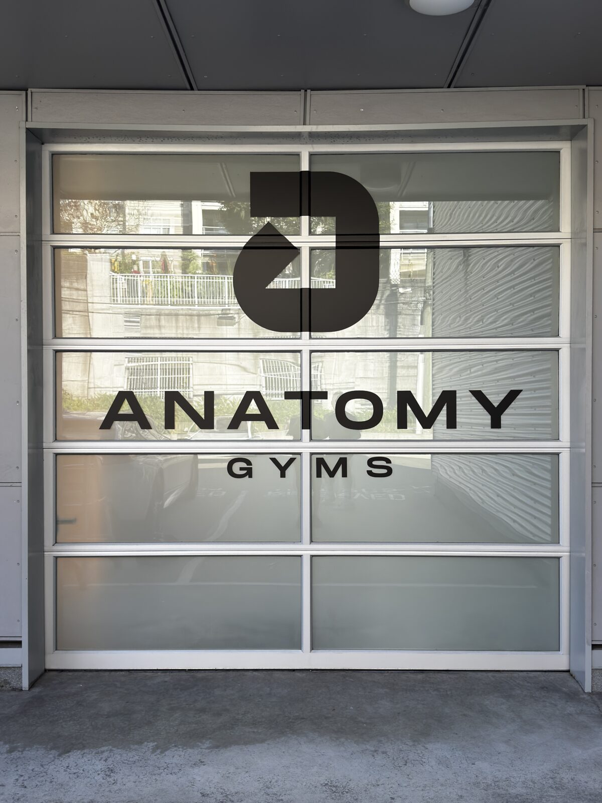 Anatomy Gyms